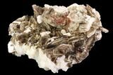 Muscovite & White Albite Crystal Association - Brazil #95568-1